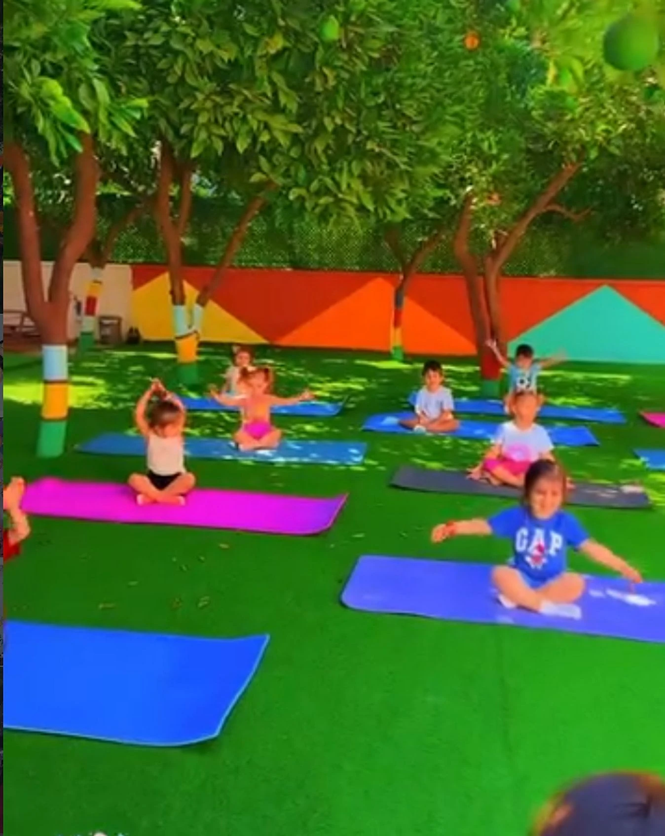 Portakal ağaçlarının altında renkli matlarda yoga yapan çocuklar